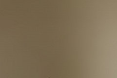 Hip-Pads_Color-Olive