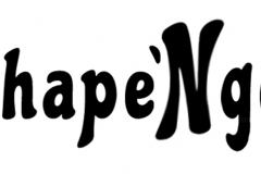 S4600P_ShapeNGo_8
